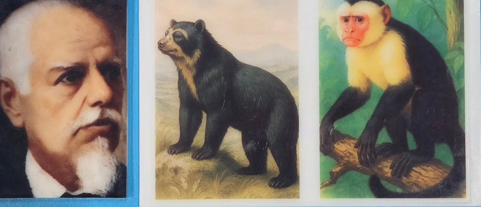 Ejemplos de estampación sobre acrílico: retrato, oso y mono Ejemplos de estampación sobre acrílico: retrato, oso y mono